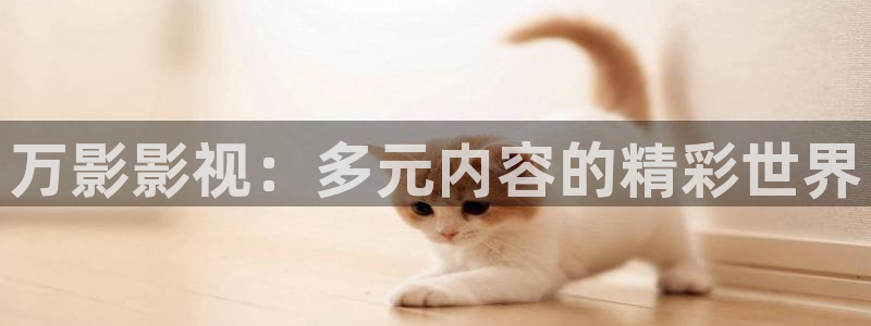 6080新视觉电影：万影影视：多元内容的精彩世界